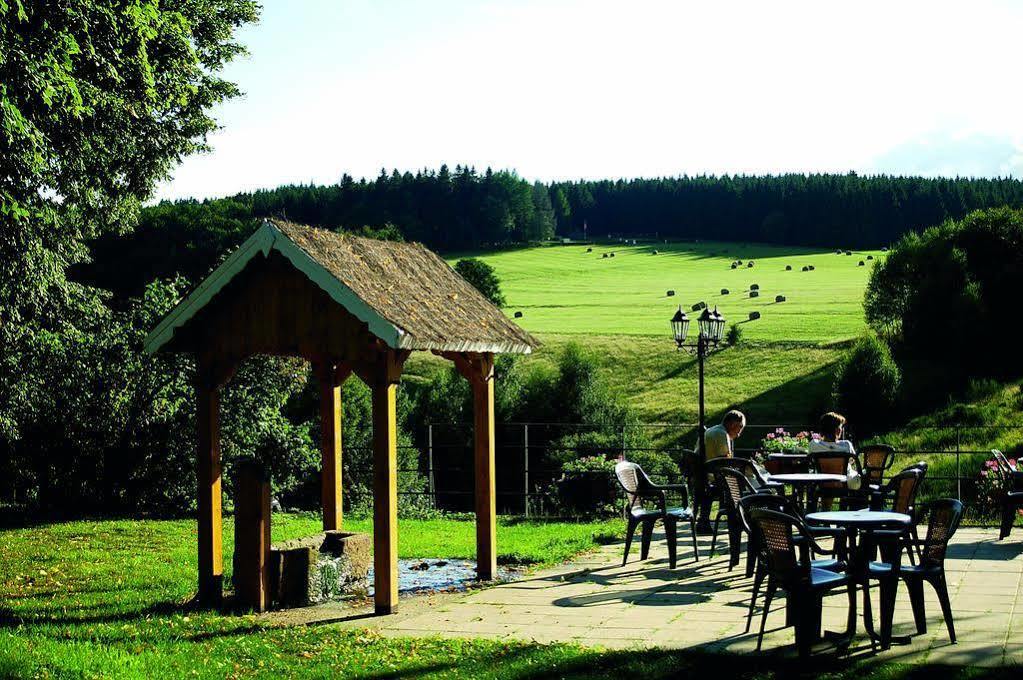 Hôtel Restaurant Le Velleda Grandfontaine (Bas-Rhin) Exterior foto